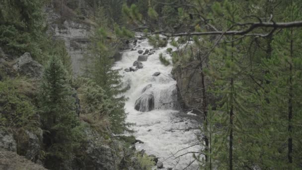 Cascata Delle Cascate Dei Fori Fuoco Nel Parco Nazionale Yellowstone — Video Stock