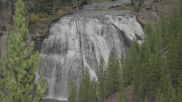 Cascata Gibbon Falls Nel Parco Nazionale Yellowstone Wyoming Slow Motion — Video Stock