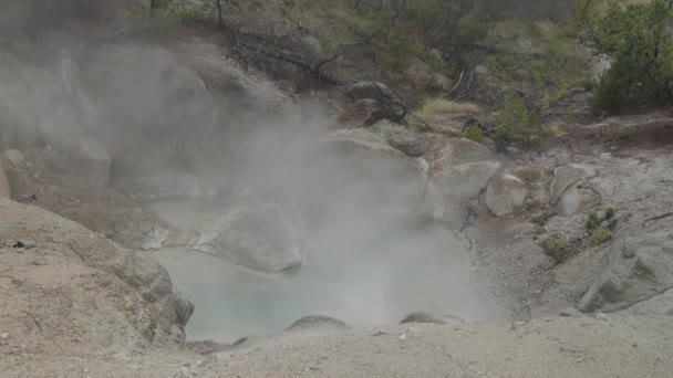 Kotlina Norris Geyser Parku Narodowym Superwulkan Yellowstone Wyoming — Wideo stockowe