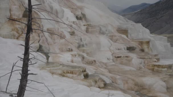 Canarische Lente Mammoet Hot Springs Een Heuvel Van Travertijn Yellowstone — Stockvideo