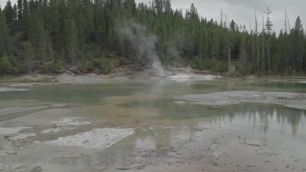 Kotlina Norris Geyser Parku Narodowym Superwulkan Yellowstone Wyoming — Wideo stockowe