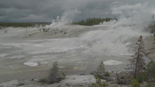 スーパー火山のノリス ガイザー盆地イエローストーン国立公園ワイオミング州 — ストック動画