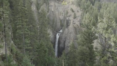 Wyoming 'deki Yellowstone Ulusal Parkı' ndaki Tower Creek 'e düşen kule.
