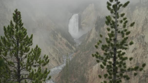 Wodospad Lower Falls Rzeka Yellowstone Wielkim Kanionie Parku Narodowego Yellowstone — Wideo stockowe