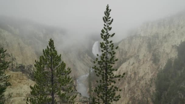 Lower Falls Waterfall Yellowstone River Grand Canyon Yellowstone National Park — Stock video