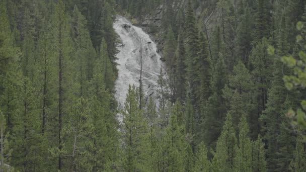 Virginia Cascade Falls Waterfall Roadside Yellowstone National Park Wyoming — Stock video