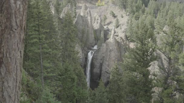 Cascata Tower Fall Tower Creek Nel Parco Nazionale Yellowstone Wyoming — Video Stock