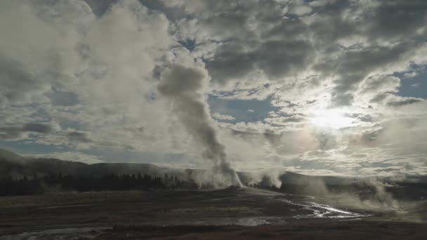 Old Faithful Erupting Sunrise Morning Upper Geyser Basin Supervolcano Yellowstone — Stock Video