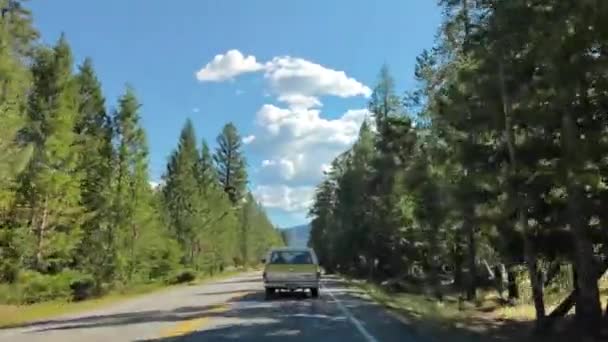Berkendara Taman Nasional Yellowstone Jalan Trip Indah Pegunungan Sungai Dan — Stok Video