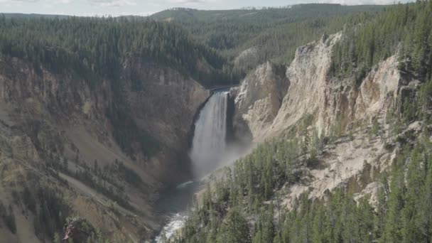 Blick Auf Den Wasserfall Lower Falls Vom Aussichtspunkt Und Dem — Stockvideo