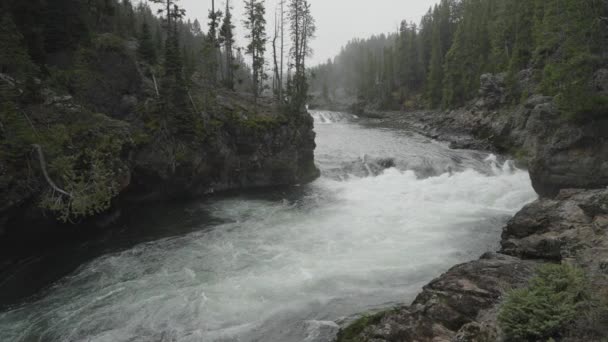 位于怀俄明州怀俄明州黄石公园大峡谷的上瀑布瀑布景观与黄石河 — 图库视频影像