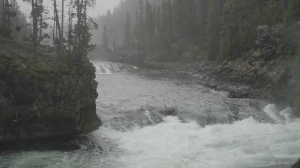 Blick Auf Den Wasserfall Brink Upper Falls Und Den Yellowstone — Stockvideo