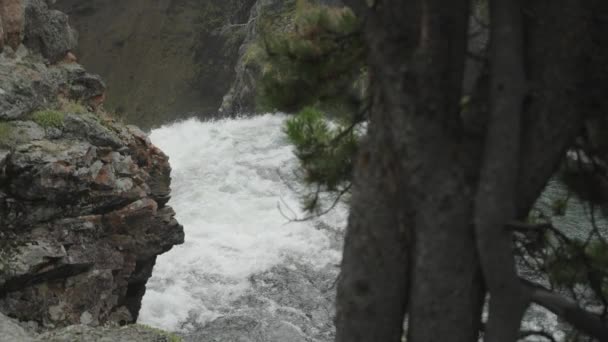 Brink Upper Falls Waterfall View Yellowstone River Bij Grand Canyon — Stockvideo