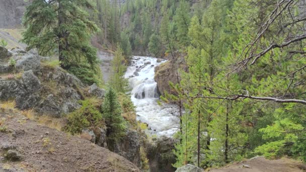 Firehole Falls Waterfall Yellowstone National Park Wyoming Slow Motion — Stock Video