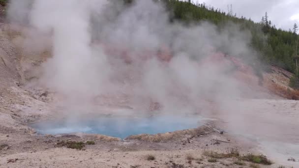 Blue Pool Hot Springs Supervulcão Yellowstone National Park Wyoming — Vídeo de Stock