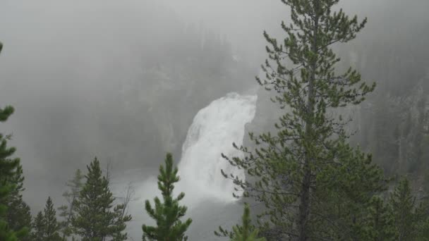 Upper Falls Waterfall View Yellowstone River Grand Canyon Yellowstone National — Stock video