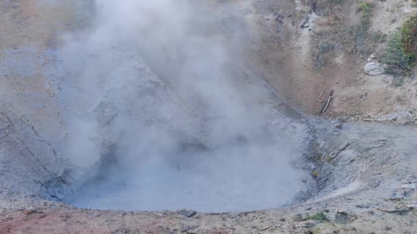 Schlammvulkanpfad Heiße Quellen Und Geysir Supervulkan Yellowstone National Park Wyoming — Stockvideo