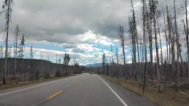 在美国怀俄明州的黄石公园 公路旅行 美丽的山脉 河流和树木中开车 — 图库视频影像
