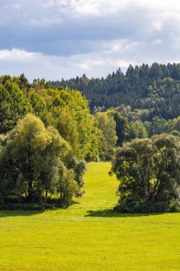 Tepelerden manzara manzarası