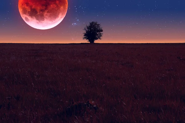 Vermelho Lua Cheia Árvore Silhueta Céu Fundo — Fotografia de Stock