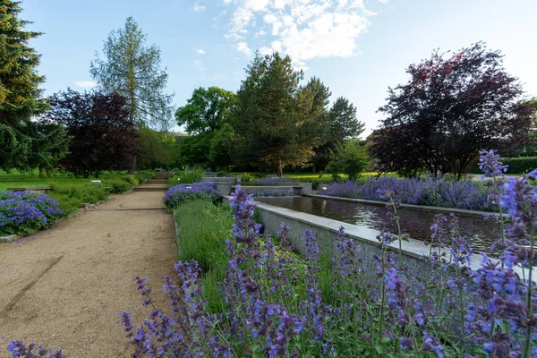 Schöner Sommerpark Mit Blumen Und Brunnen — Stockfoto