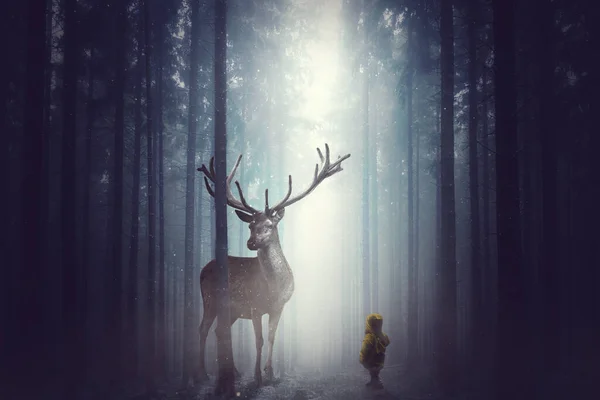 Ένα Κορίτσι Μεγάλο Ελάφι Μυστικιστικό Δάσος Καθιστούν — Φωτογραφία Αρχείου