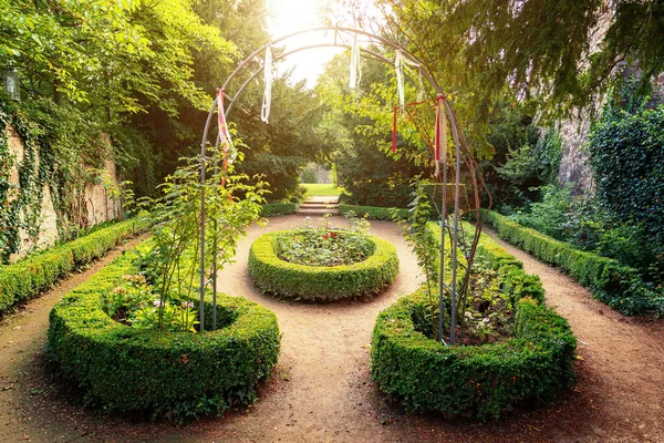 Garten Mit Schönen Blumen Hintergrund Natur — Stockfoto
