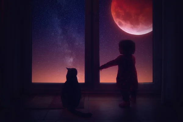 Gato Menina Perto Janela Noite Com Lua Vermelha — Fotografia de Stock