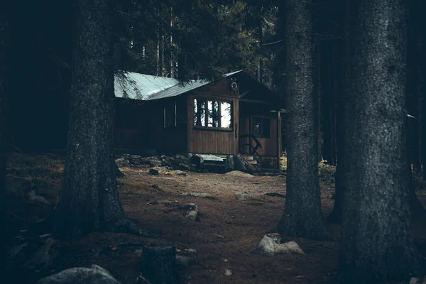 Vecchia Casa Legno Nella Foresta Concetto Viaggio — Foto Stock