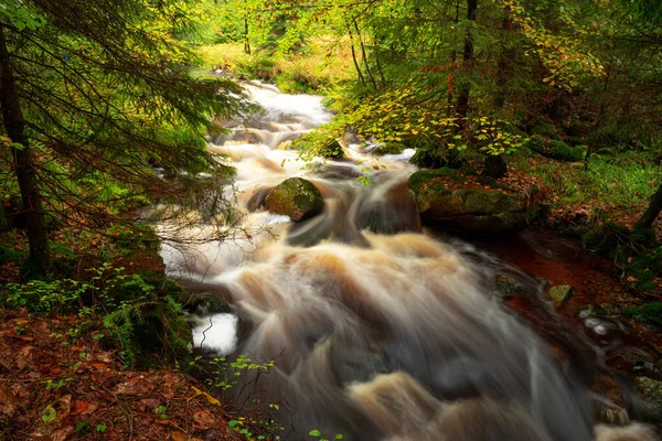 Bellissimo Torrente Veloce Nella Foresta Sfondo Della Natura — Foto Stock