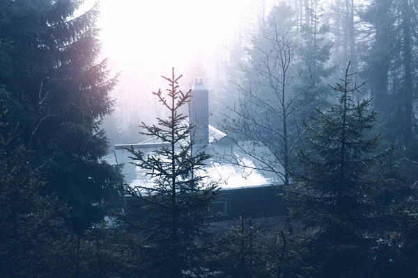 Mattina Nebbiosa Nella Foresta Invernale Casa Coperta Neve — Foto Stock