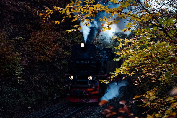Velha Locomotiva Ferroviária Floresta Outono — Fotografia de Stock