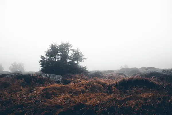 Prachtig Uitzicht Scenic Landschap Natuur — Stockfoto