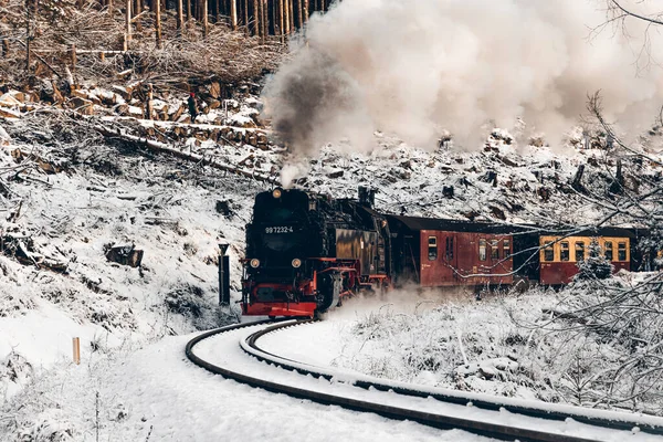 Locomotiva Vapor Com Fumaça Movendo Através Floresta — Fotografia de Stock