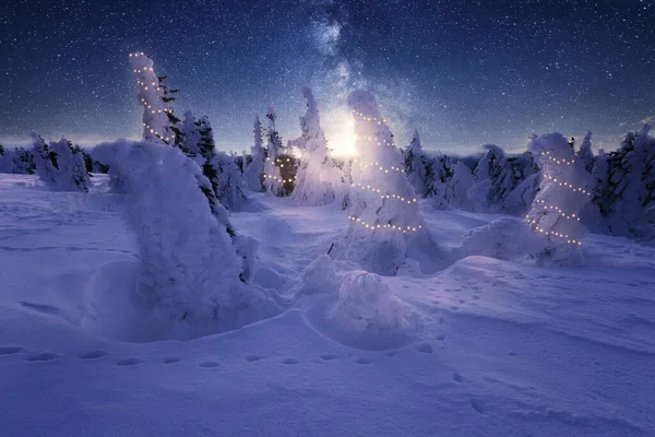 Vacker Vinter Landskap Med Gran Träd Snö Natt Stjärnklar Bakgrund — Stockfoto