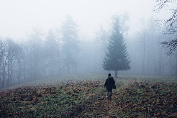 Man walking in a green foggy forest