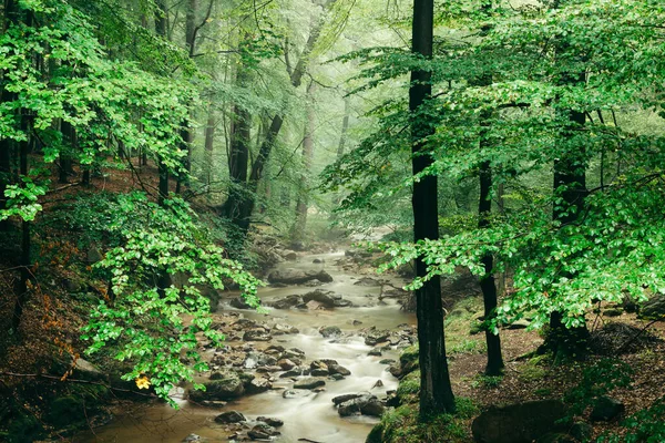 Красивий Водоспад Лісі — стокове фото