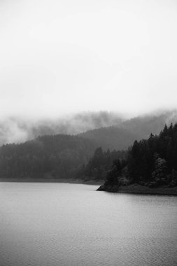 Güzel bir göl manzarası. siyah ve beyaz resim. 