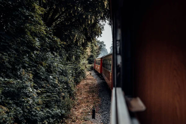 Starý Vlak Lese Cestovní Koncept — Stock fotografie