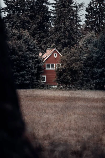 Veche Casă Lemn Din Pădure Printre Pini — Fotografie, imagine de stoc