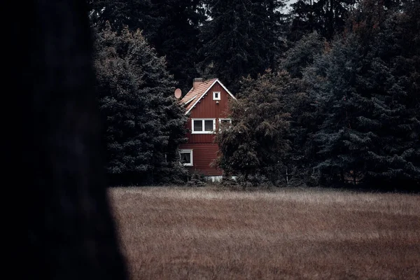 Gammalt Trähus Grön Skog — Stockfoto