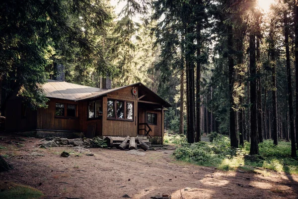 Cabina Legno Nella Foresta Viaggio Relax Cocept — Foto Stock