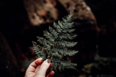 Yakın çekim - ormanda eğrelti otu yaprağı tutan genç bir kadın manzarası
