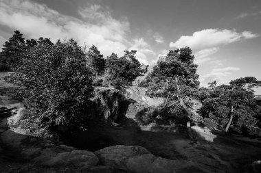 Hamburg arması, Harz dağlarında, siyah beyaz bir Kum Taşı kütlesi.