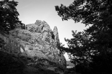 Hamburg arması, Harz dağlarında, siyah beyaz bir Kum Taşı kütlesi.
