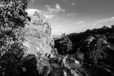 Hamburg arması, Harz dağlarında, siyah beyaz bir Kum Taşı kütlesi.