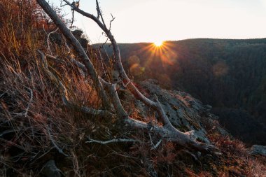 Harz dağlarındaki ormanların üzerinde gün batımı