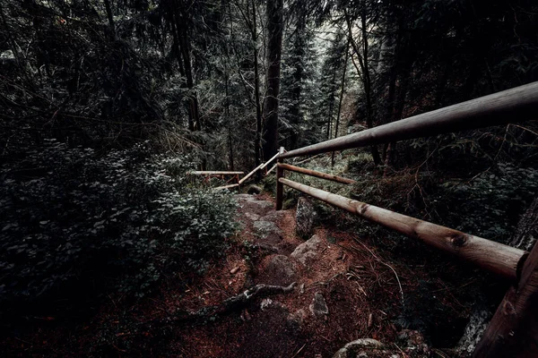 Vecchie Scale Una Foresta Nebbiosa Con Ringhiere Legno — Foto Stock
