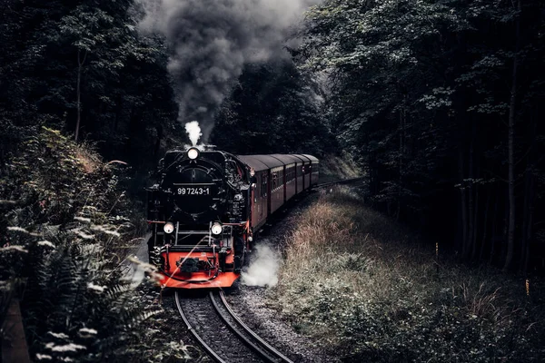 Locomotiva Vapor Com Fumaça Movendo Através Floresta — Fotografia de Stock