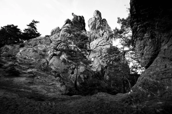 Hamburský Erb Pískovcový Masiv Horách Harz Portrét Černobílý — Stock fotografie